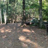 Review photo of Bear Brook State Park Campground by Roger W., October 4, 2023