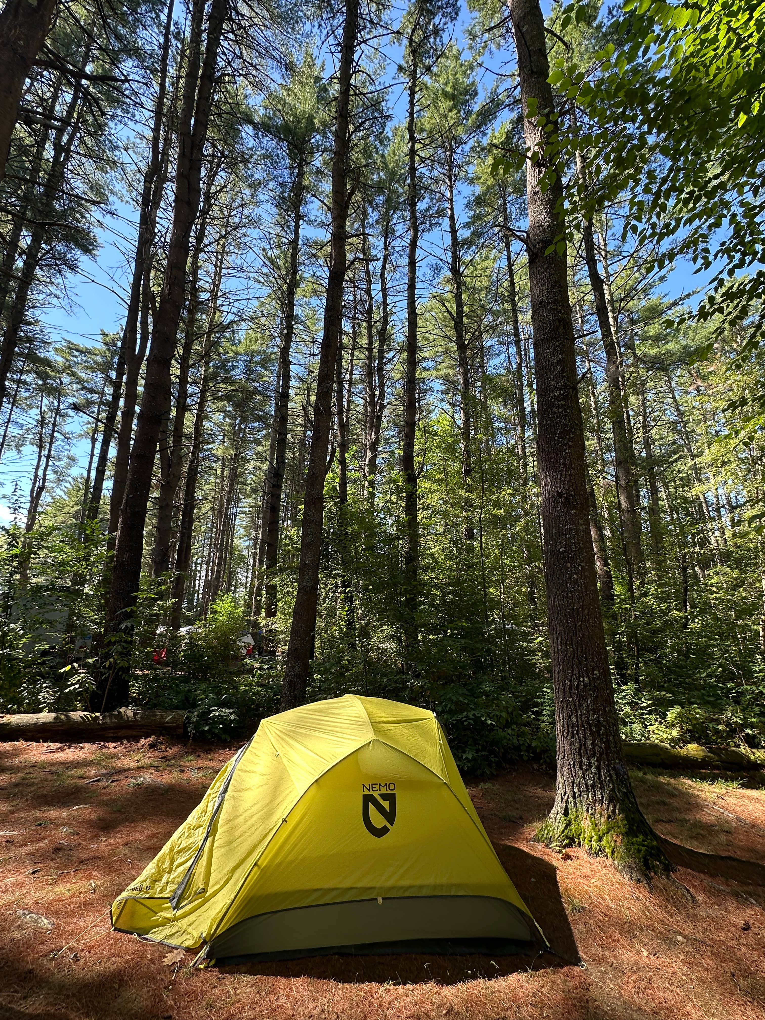 Utshob A.'s photo at Bear Brook State Park Campground near Auburn, NH