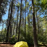 Review photo of Bear Brook State Park Campground by Utshob A., September 2, 2025