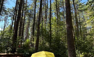 Utshob A.'s photo at Bear Brook State Park Campground near Manchester, NH