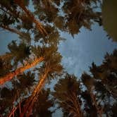 Review photo of Bear Brook State Park Campground by Utshob A., September 2, 2025
