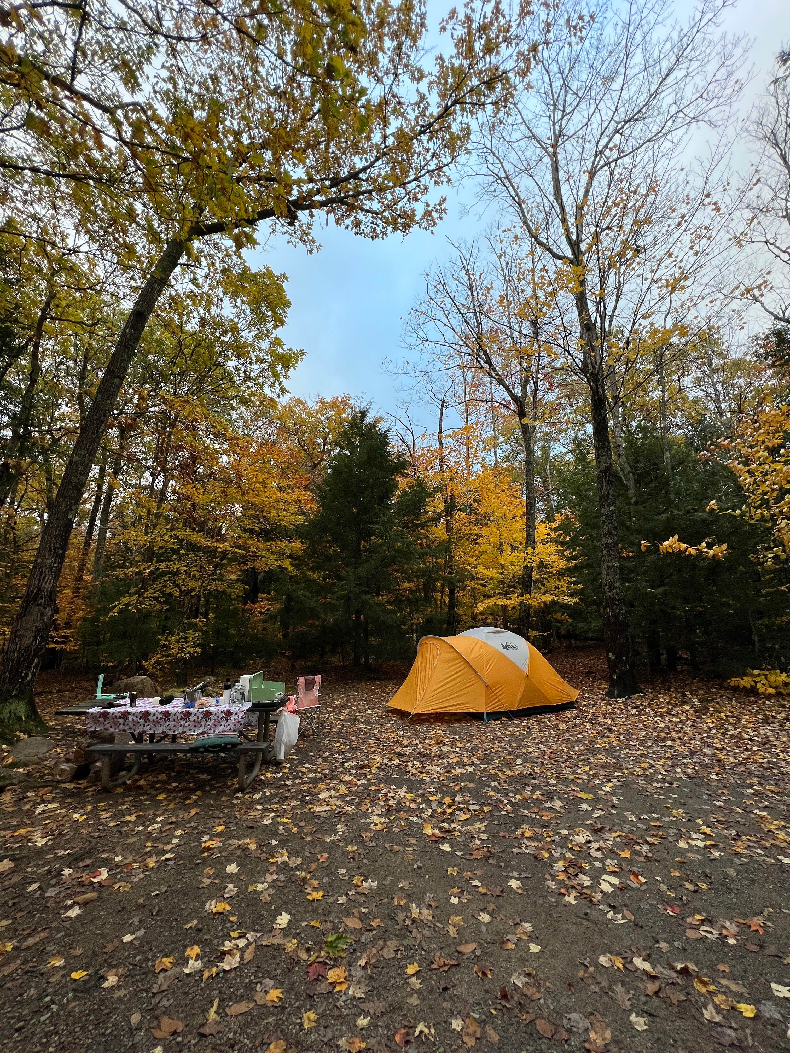 Ann P.'s photo at Dry River Campground — Crawford Notch State Park near Jackson, NH
