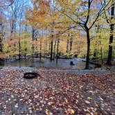 Review photo of Dry River — Crawford Notch State Park by Ann P., October 30, 2023