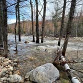 Review photo of Dry River — Crawford Notch State Park by Ann P., October 30, 2023