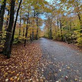 Review photo of Dry River — Crawford Notch State Park by Ann P., October 30, 2023