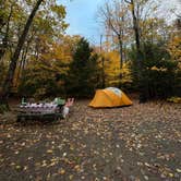 Review photo of Dry River — Crawford Notch State Park by Ann P., October 30, 2023