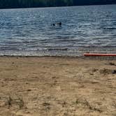 Review photo of Greenfield State Park Campground by J L., March 30, 2025