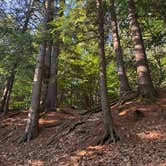 Review photo of Gunstock Campground by Nadine R., July 26, 2026
