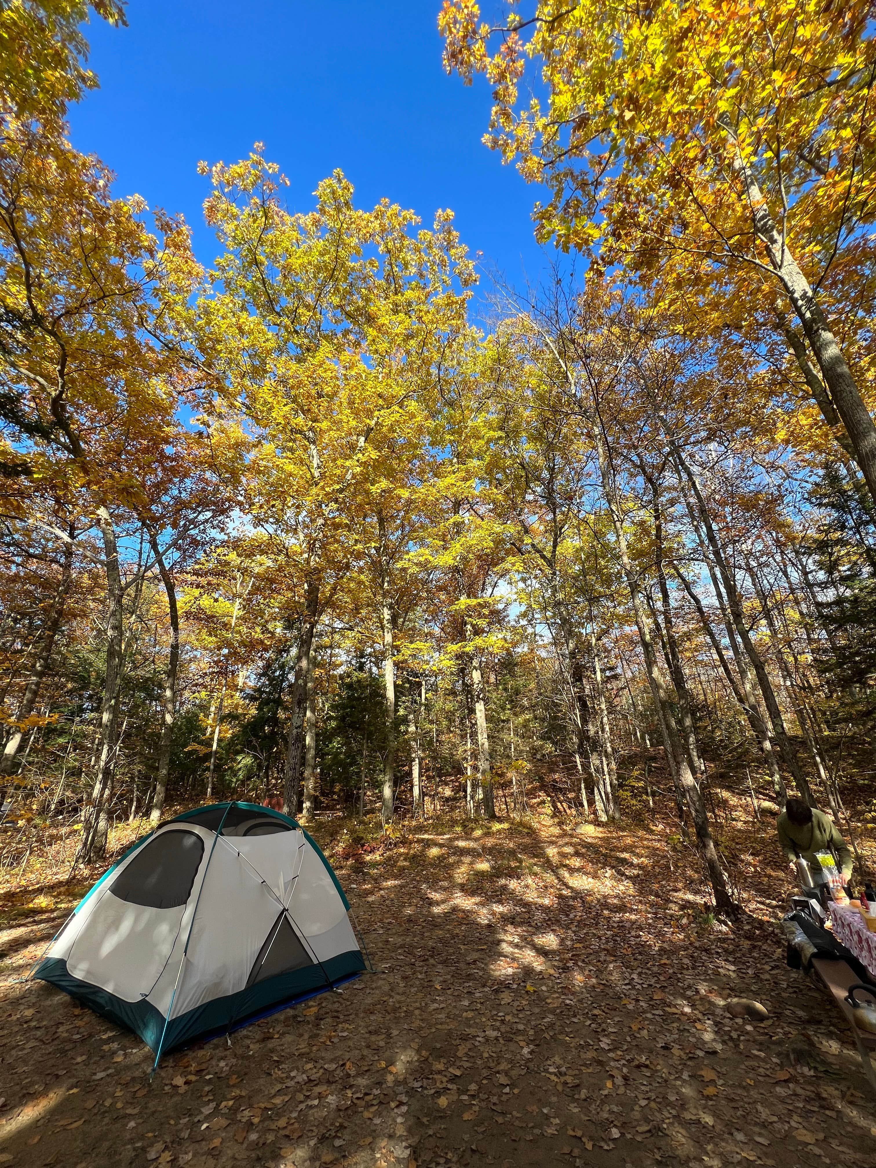 Ann P.'s photo at Hancock Campground near North Woodstock, NH