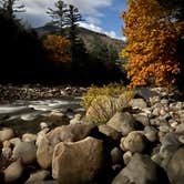 Review photo of Hancock Campground by Ann P., October 30, 2023