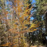 Review photo of Jigger Johnson Campground by SkywaystoHighways.com Y., October 15, 2026