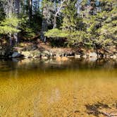 Review photo of Jigger Johnson Campground by stevenM149 , May 14, 2026