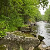 Review photo of Lake Francis State Park Campground by Carolyn M., June 11, 2024