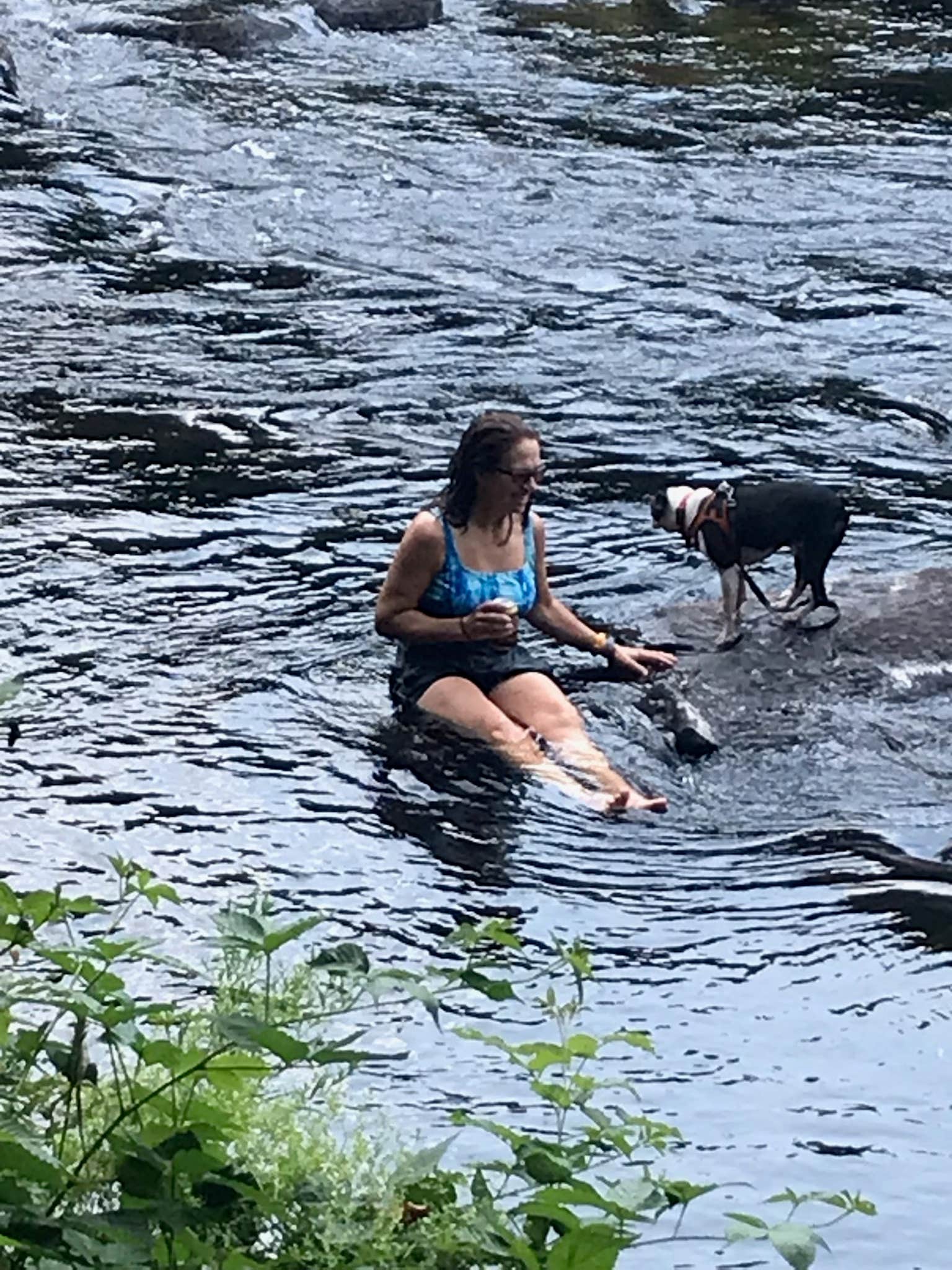 Judy's photo of camping with pets at Mollidgewock State Park Campground near Groveton, NH
