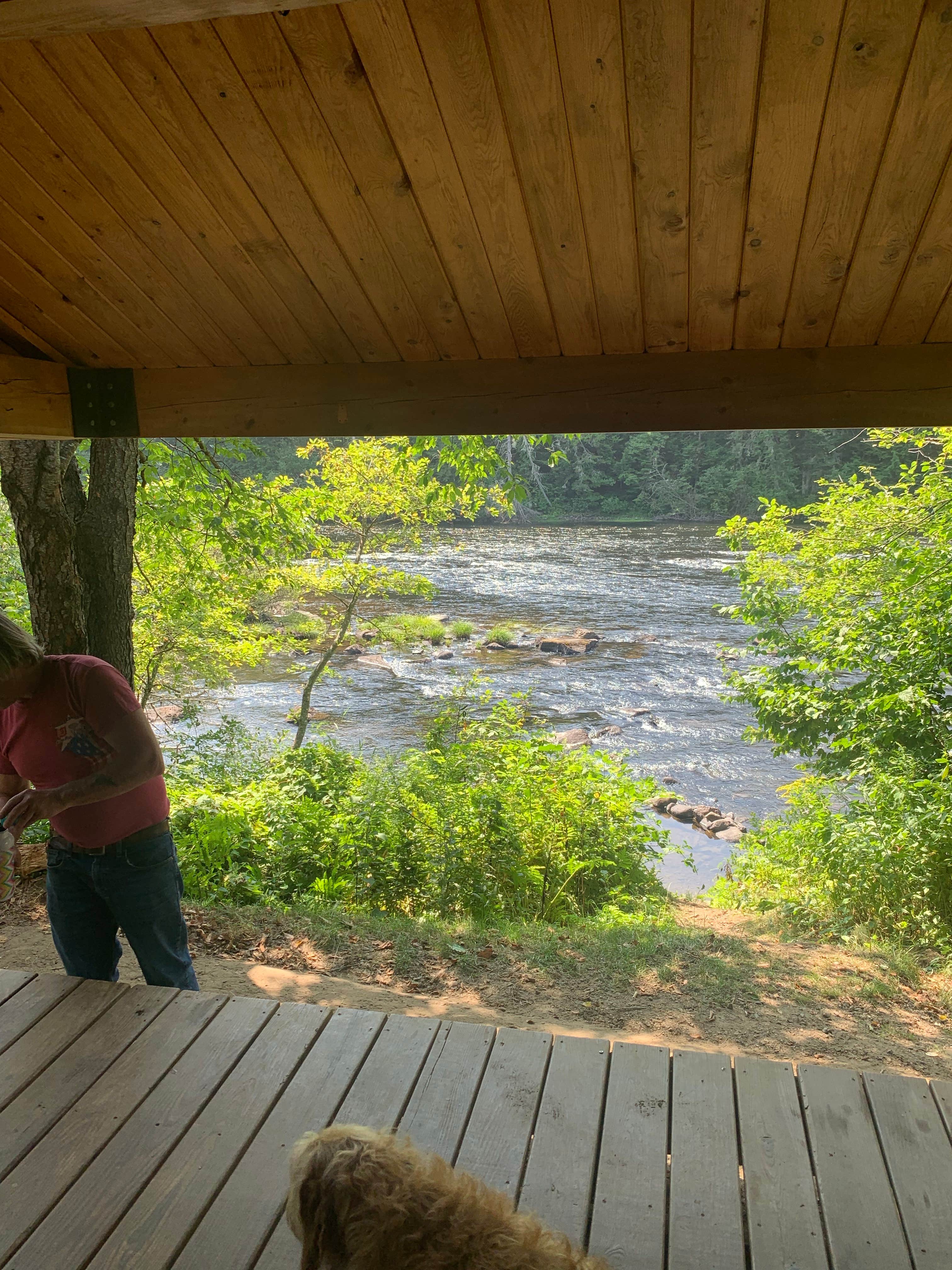 Judy's photo of camping with pets at Mollidgewock State Park Campground near Errol, NH