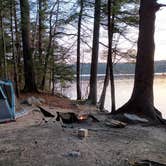 Review photo of Pawtuckaway State Park Campground by Sean F., May 6, 2024