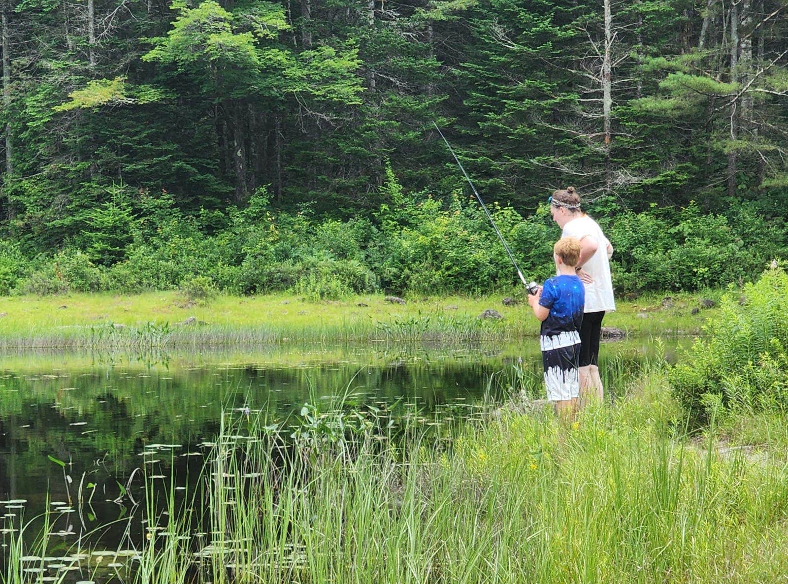 Camper-submitted photo at Pillsbury State Park Campground near Warner, NH