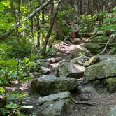 Review photo of Sugarloaf 1 Campground by Karla J. B., June 23, 2025