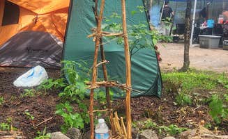 Lisa's photo of a dispersed camping area at Tripoli Road near West Hartford, VT