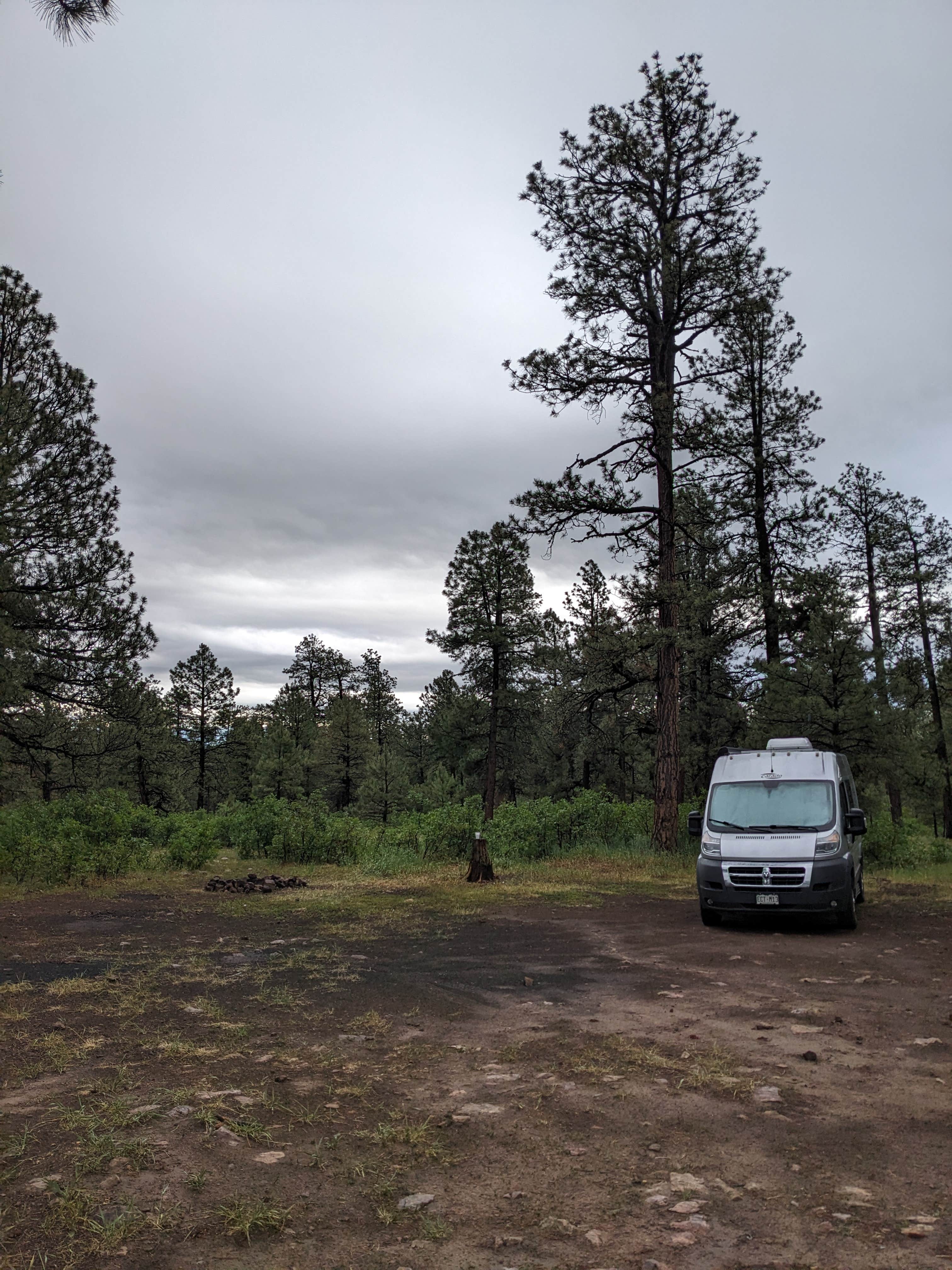 New Jack Road Camping | Pagosa Springs, CO