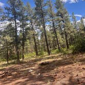 Review photo of New Jack Road by Nancy M., July 25, 2025