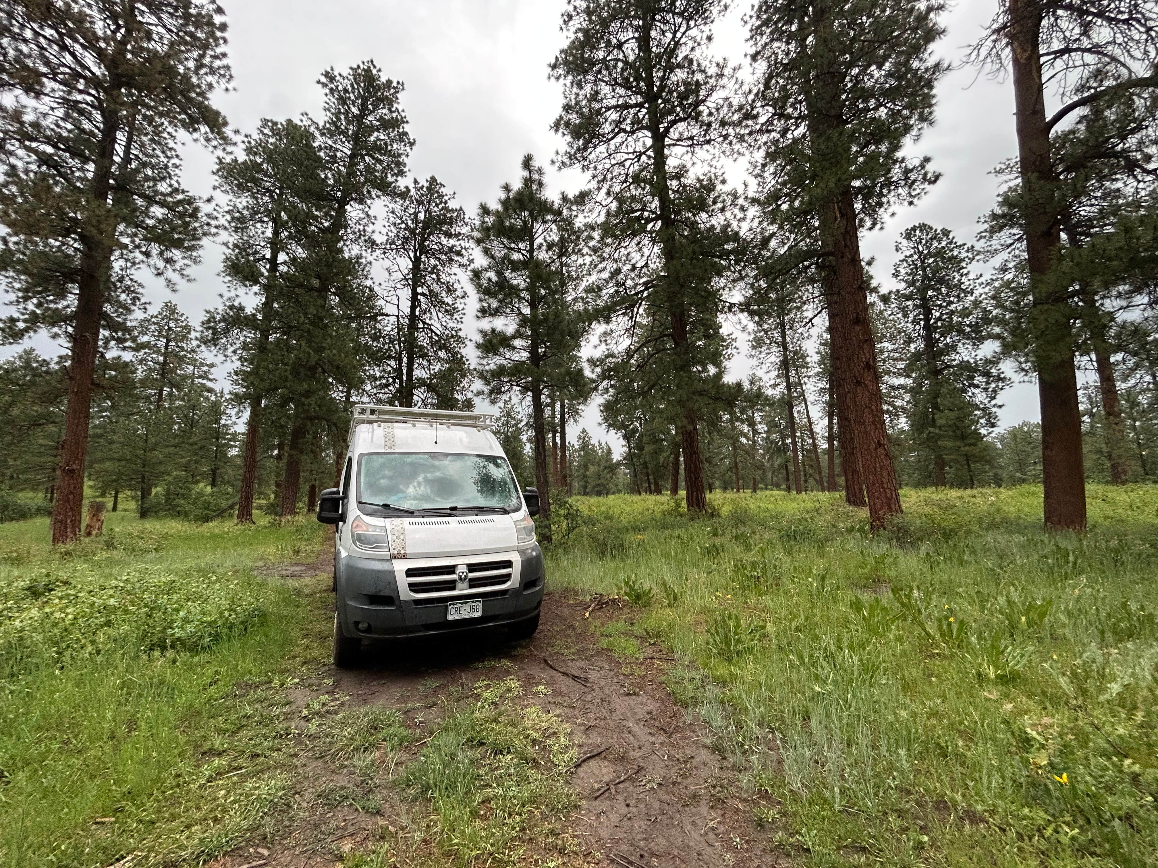 Camper-submitted photo at New Jack Road near Pagosa Springs, CO