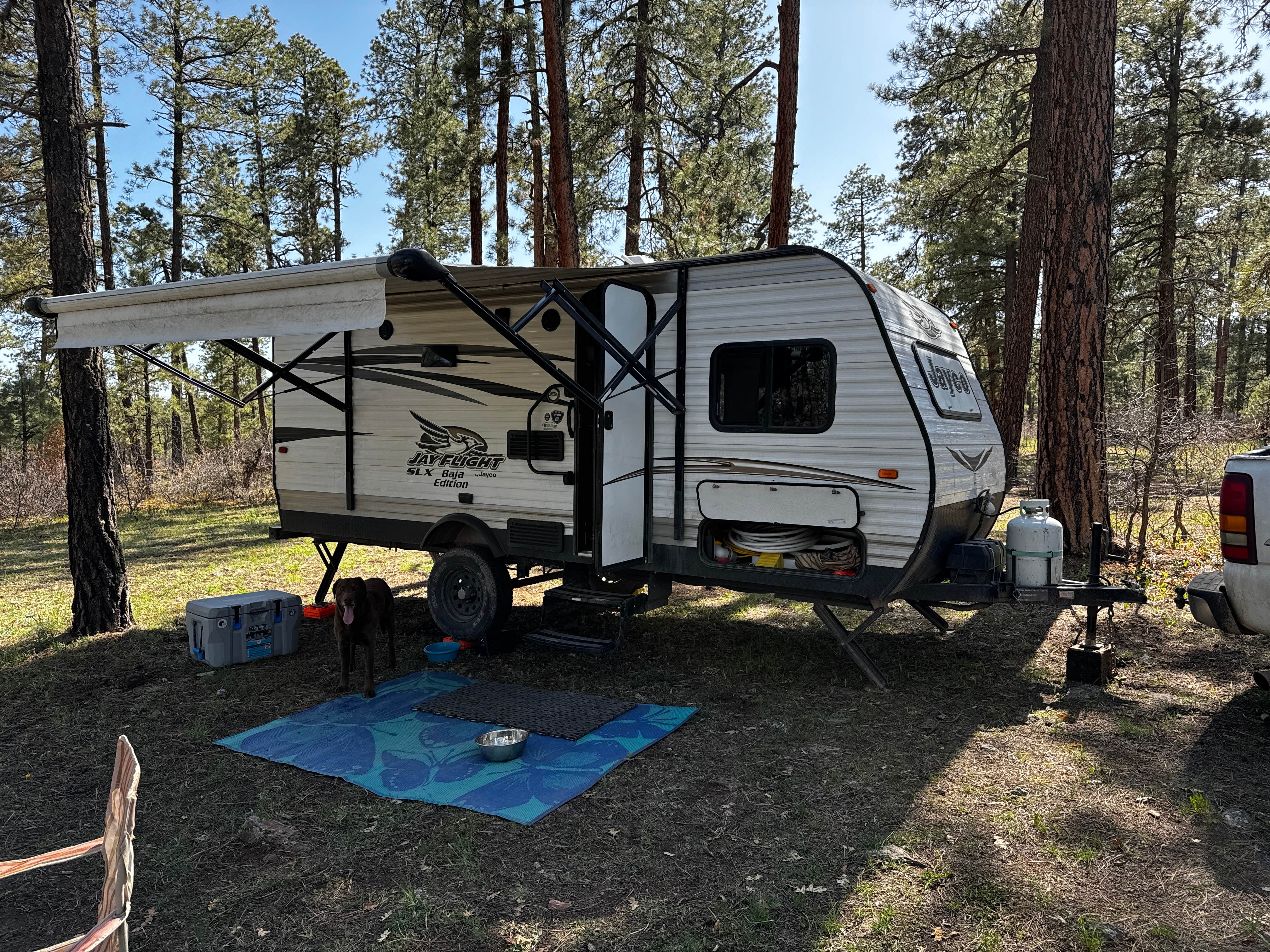 Camper-submitted photo at New Jack Road near Pagosa Springs, CO