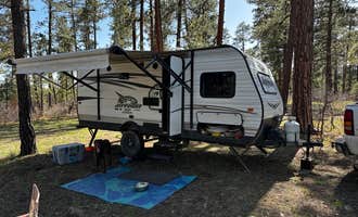 Camping near Castaway Canyon Colorado : New Jack Road, Pagosa Springs, Colorado