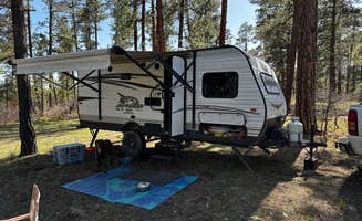 chad's photo of camping with pets at New Jack Road near Pagosa Springs, CO