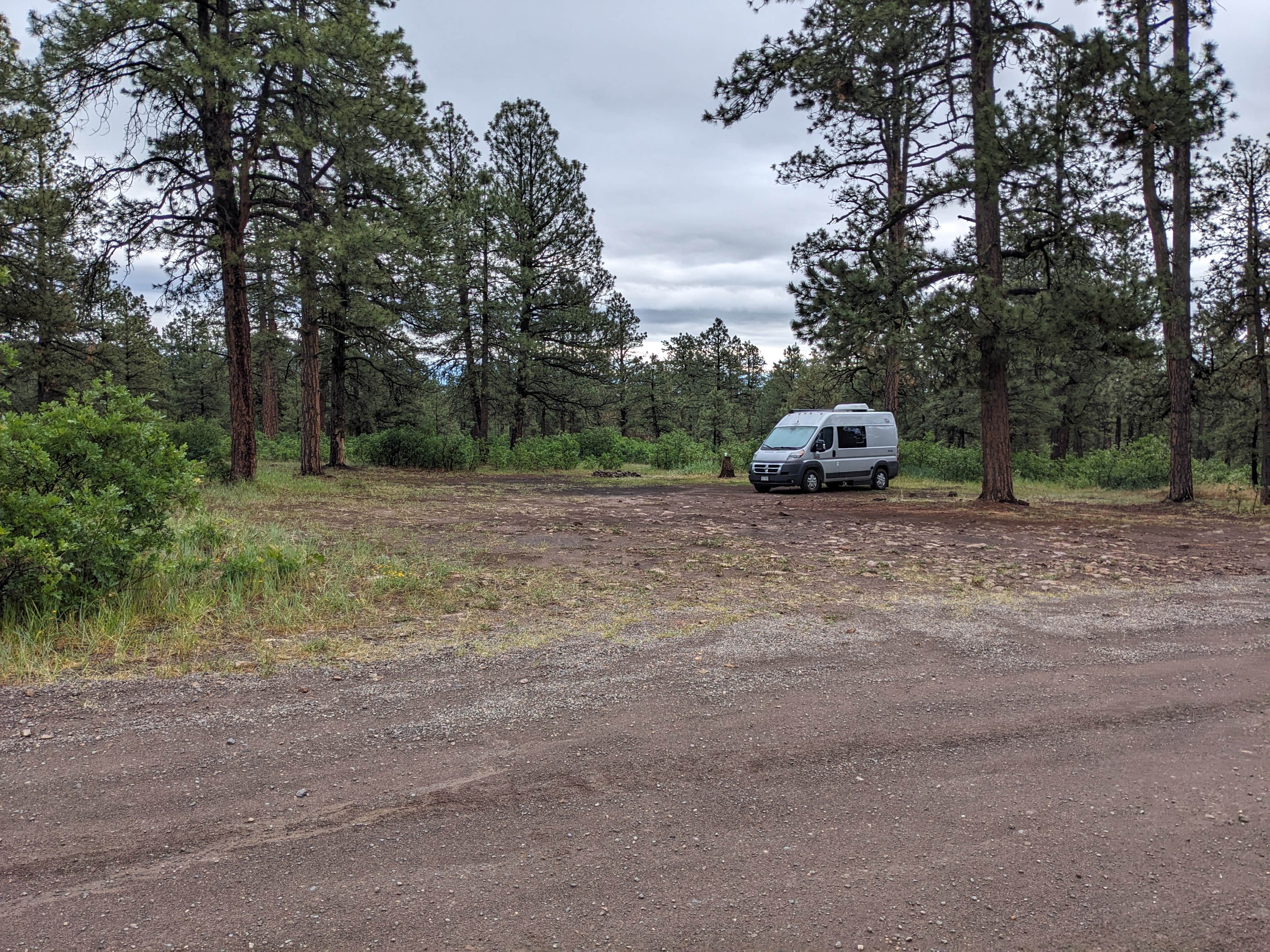 Camper submitted image from New Jack Road - 4