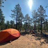 Review photo of New Jack Road by Sarah H., July 6, 2026