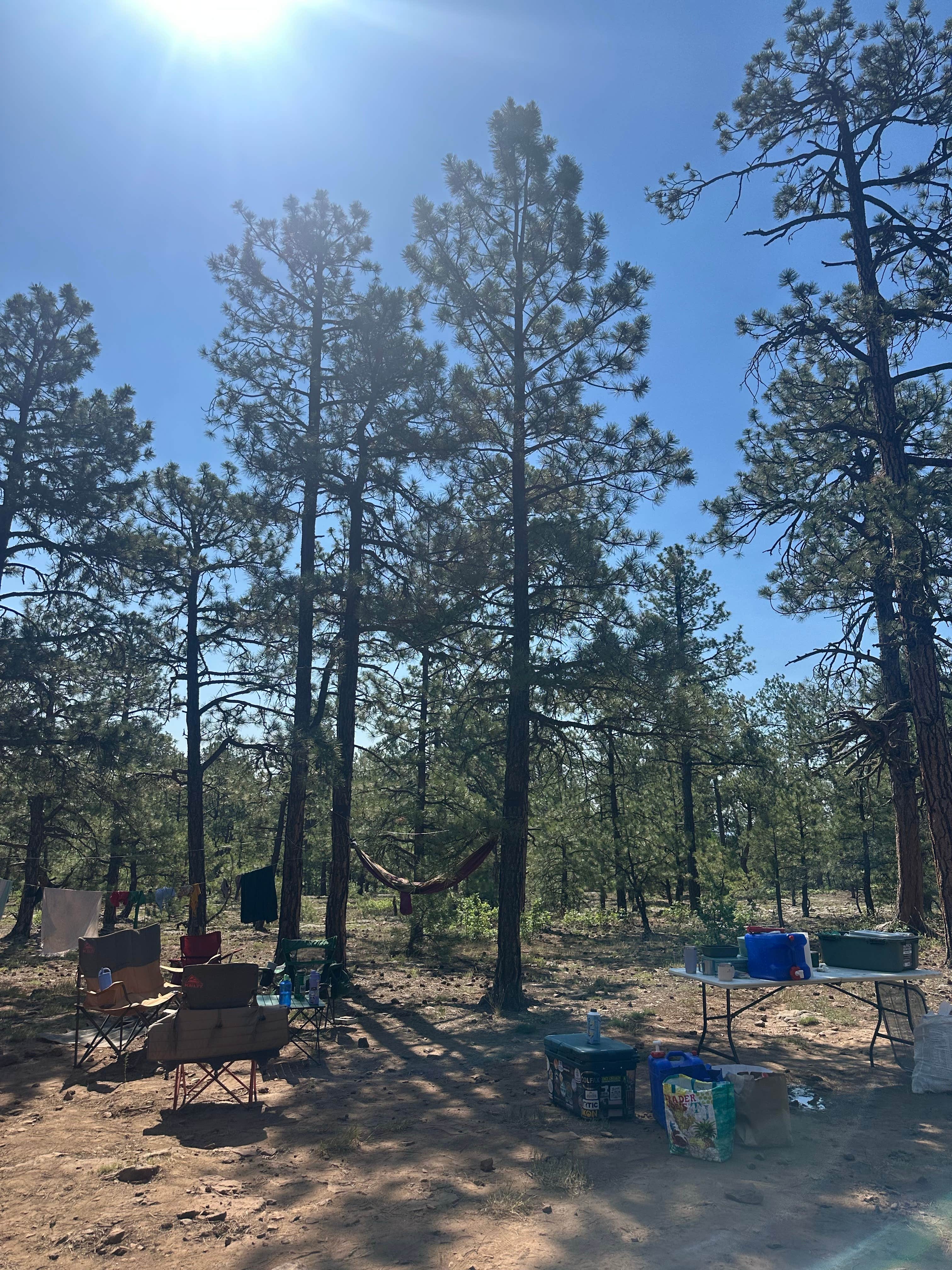 Camping near Pagosa Pines RV Park: New Jack Road, Pagosa Springs, Colorado