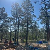 Review photo of New Jack Road by Sarah H., July 6, 2026