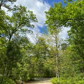 Review photo of Bass River State Forest by Jonathan L., May 19, 2024