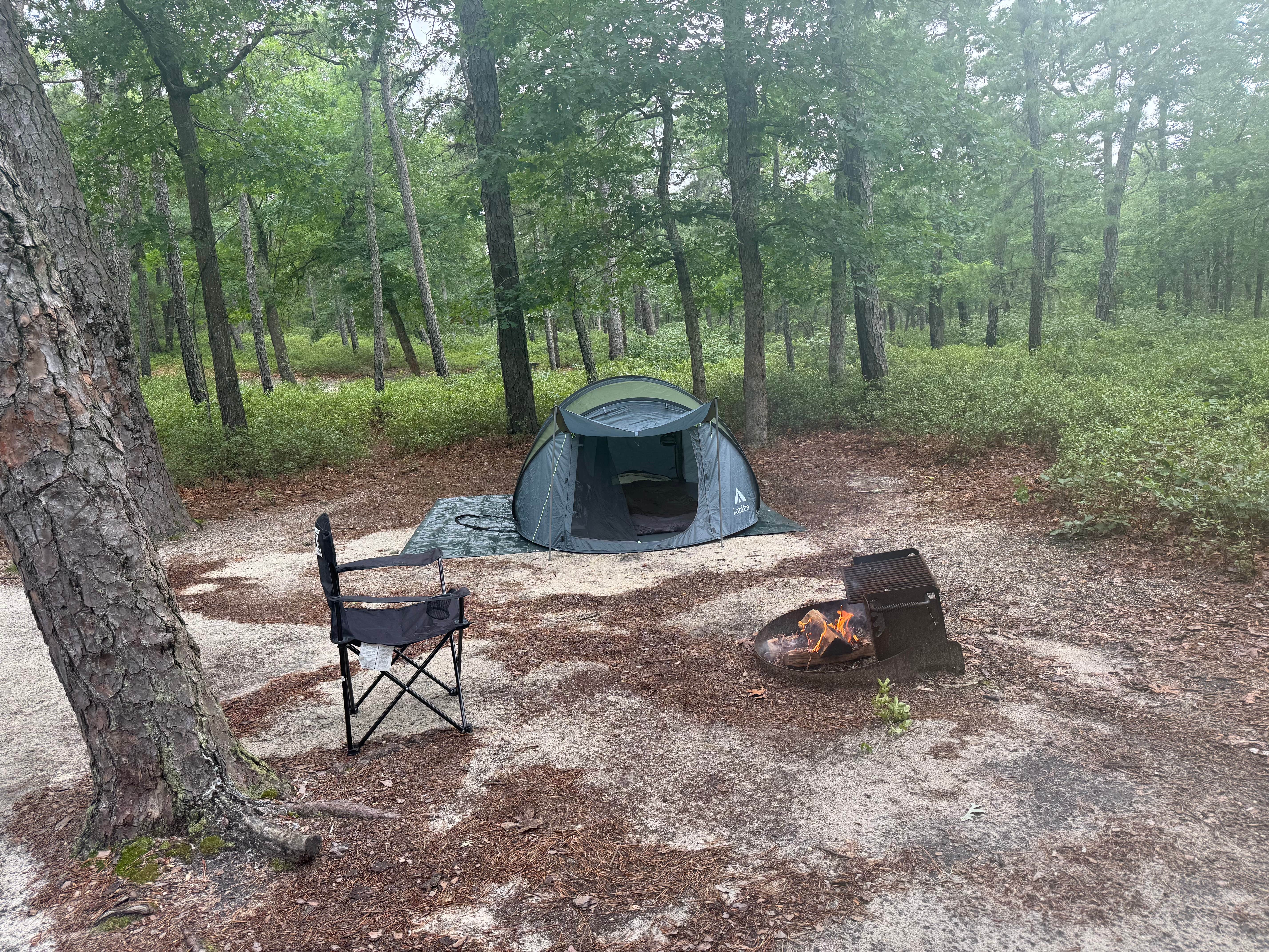 Scott K.'s photo at Bass River State Forest near Manahawkin, NJ