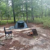 Review photo of Bass River State Forest by Scott K., August 3, 2025