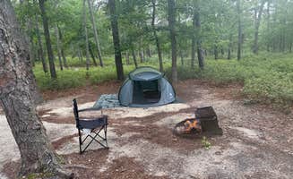 Scott K.'s photo at Bass River State Forest in New Jersey