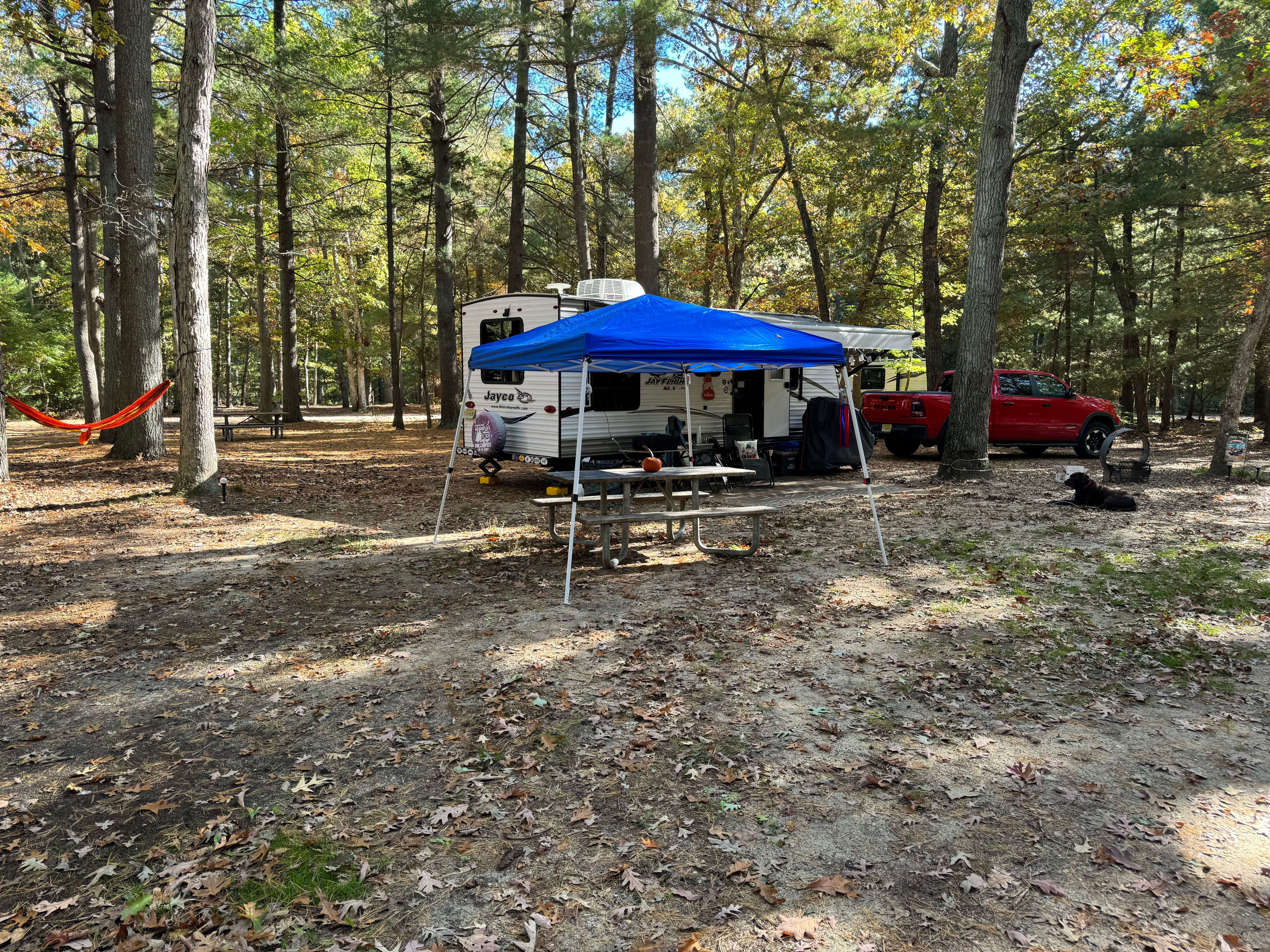 Janet P.'s photo at Belleplain State Forest near Downe, NJ