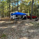 Review photo of Belleplain State Forest by Janet P., November 1, 2023