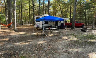 Janet P.'s photo of camping with pets at Belleplain State Forest near Beach Haven, NJ