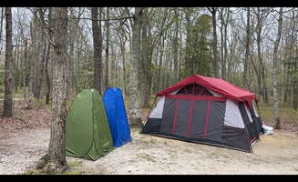 Brianna P.'s photo at Belleplain State Forest near Rosenhayn, NJ