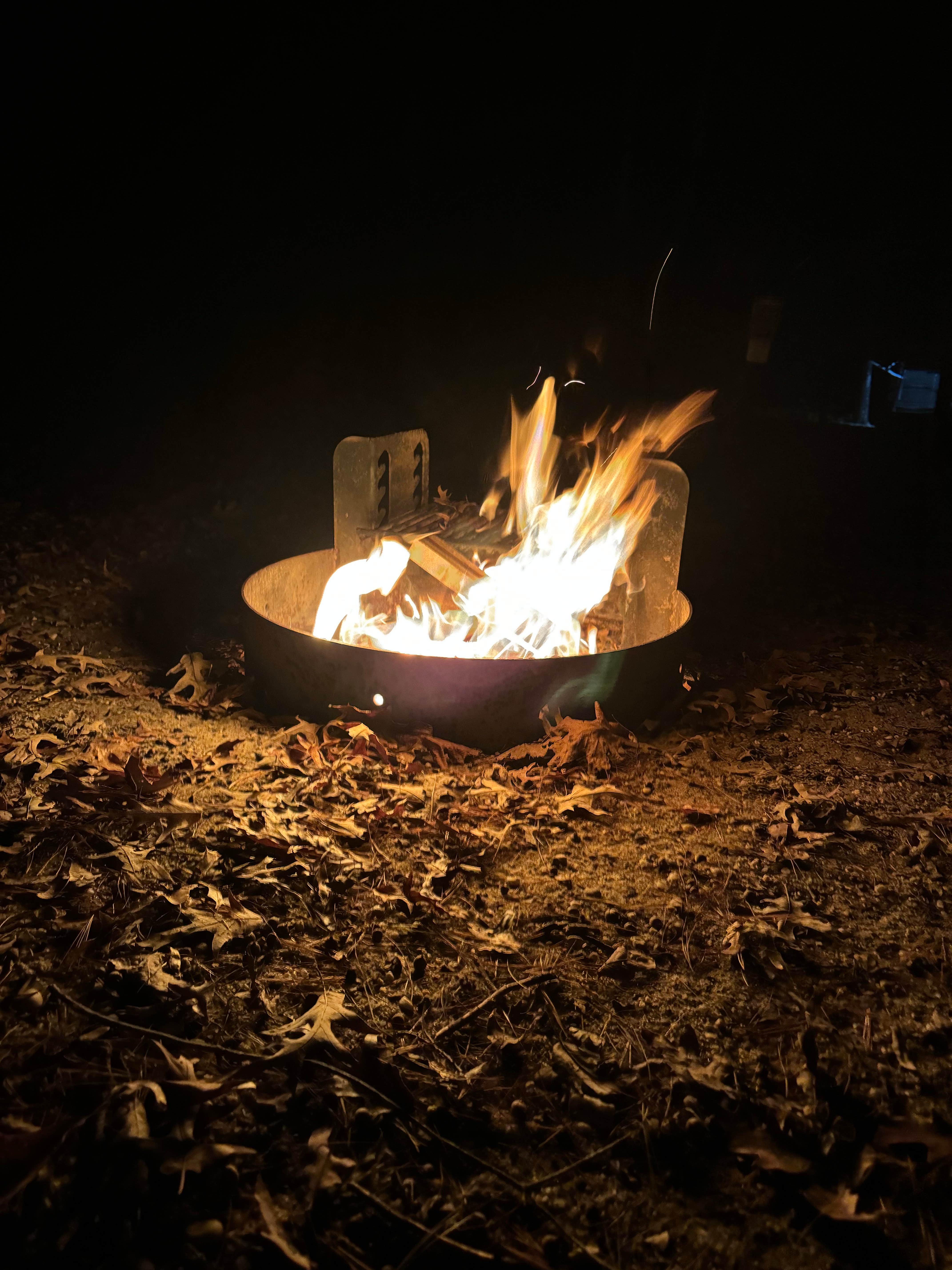 Camper-submitted photo at Belleplain State Forest near Downe, NJ