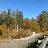 Review photo of Belleplain State Forest by Heather F., January 9, 2025