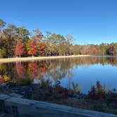 Review photo of Belleplain State Forest by Heather F., January 9, 2025