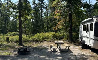 Laura G.'s photo of rv camping at Brendan Byrne State Forest near Manahawkin, NJ