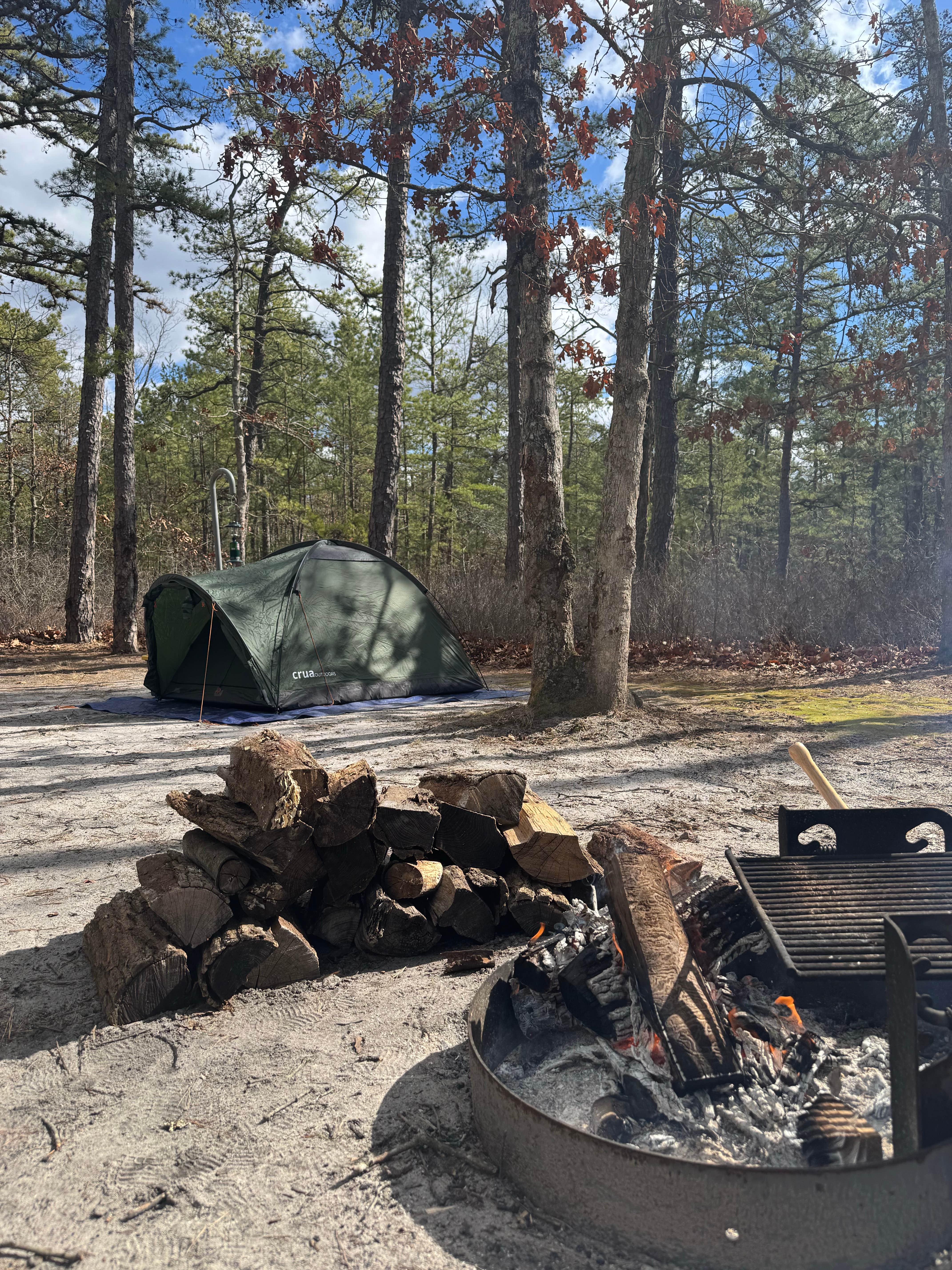 Camper-submitted photo at Brendan Byrne State Forest near Lacey, NJ