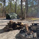 Review photo of Brendan Byrne State Forest by Dan M., March 31, 2025