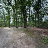 Review photo of Cheesequake State Park Campground by Kalyani R., June 18, 2026