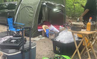 Brenda G.'s photo of camping with pets at Cheesequake State Park Campground near Toms River, NJ