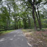 Review photo of Cheesequake State Park Campground by Kalyani R., June 18, 2026